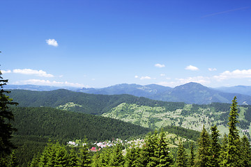 Image showing Forest landscape