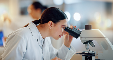 Image showing Science, research and woman with microscope, tablet and biotech data report in laboratory. Medical innovation, scientist or lab technician in study for healthcare, medicine and vaccine test feedback