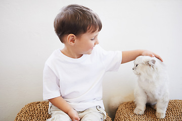 Image showing Child, boy and happiness with kitten for pet, best friend and bonding with cuddle or care in living room of home. Toddler, kid and face with animal, cat and friendship in lounge of house or apartment