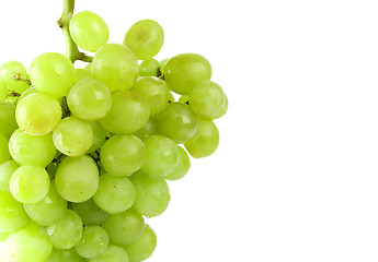 Image showing green grapes