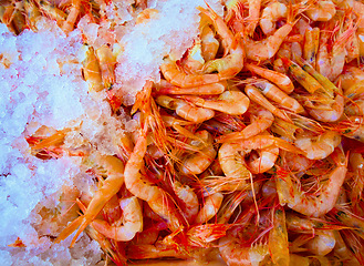 Image showing Ice, shrimp or top view of food at market for nutrition, protein or cold animal for healthy diet in fish industry. Above, seafood and frozen prawn at restaurant for dinner, meal or shellfish closeup