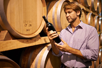 Image showing Barrels, cellar and man with bottle of wine for reading label in winery, warehouse or distillery. Agriculture, industry and mature male person by wooden containers with alcohol beverage in storage.