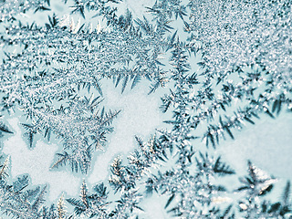 Image showing Ice, crystals and frozen in winter closeup or nature environment for global warming, climate or cold weather. Frost, outdoor and snow travel in Canada for explore with textures, freezing or season