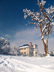 Image showing House, snow and forest environment for winter nature in Canada for travel vacation, exploring or freezing. Home, outside and woods for cold weather with ice trees for climate, Christmas or holiday