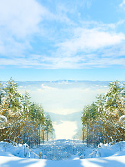 Image showing Woods, snow and landscape in mountains in winter for ski vacation in Canada for explore, holiday or journey. Forest, trees and freezing ice with fog in cold weather or climate, nature or environment