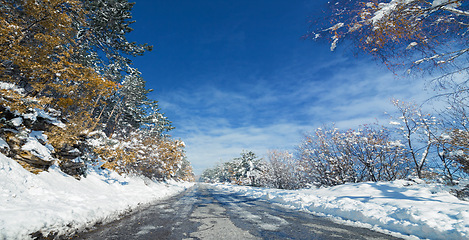 Image showing Snow, forest and road or winter landscape or environment explore with cold weather as nature, outdoor or freezing. Woods, trees and path in Swiss Alps or adventure vacation or abroad, blue sky or ice