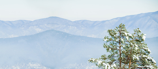 Image showing Snow, trees and winter or mountain environment for trekking adventure in cold weather, location or freezing. Woods, hill and Swiss Alps in forest landscape for outdoor explore or ice, frost or travel