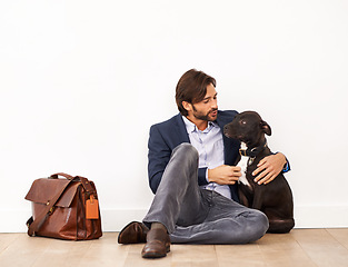 Image showing Cute, bonding and happy businessman with dog by wall with positive attitude together. Career, briefcase and professional male person playing and scratching pet, puppy or animal on floor at home.