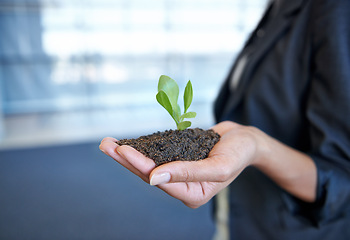 Image showing Person, hand and soil with plant for environment or future sustainability, climate change or non profit. Fingers, dirt and leaf for development or business growth for startup, investment or nature