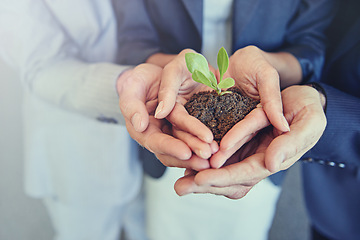 Image showing Businesspeople, hands and plant in soil or growth in startup company or new opportunity, development or investment. Fingers, dirt and greenery with teamwork for sustainability, eco friendly or nature