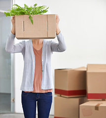 Image showing Box covering face, business and woman with fun, startup and shy with cardboard and management. New beginning, person and entrepreneur with plants and achievement with opportunity and professional