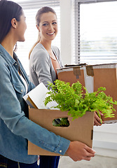 Image showing Coworker, women and moving in with plant in box at office with smile, decoration for start up business. Workspace, company and joy in happiness with new beginning for positivity at work.