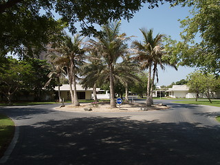 Image showing Dubai roundabout