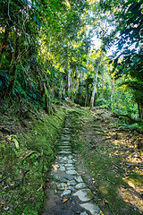 Image showing Ciudad Perdida, ancient ruins in Sierra Nevada mountains. Santa Marta, Colombia wilderness