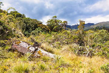 Image showing Paramo Natural Reserve, Andes Mountain Range, South America. Colombia wilderness landscape.