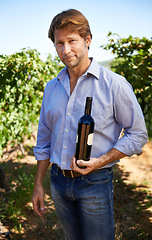 Image showing Man, portrait and vineyard with bottle of wine for quality control, agriculture and sustainable winery. Vintage, red drink and nature in France, grape fields and small business for organic alcohol