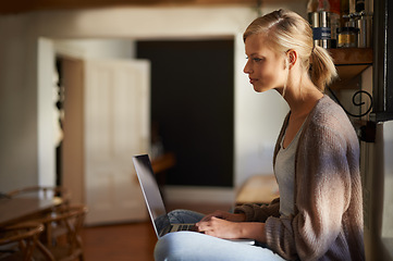 Image showing Remote work, laptop and woman reading in a house for research, planning or web communication. Freelance, typing and female person in living room with online editing, writing or checking social media