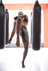 Image showing Man, kick boxing and bag with training, knee and combat for exercise with balance, power and precision in gym. African athlete, person or fighter with workout, fitness or strike for challenge in dojo