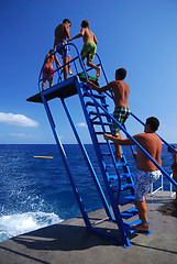 Image showing Diving in Line.