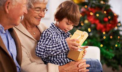 Image showing People, grandparents and family with Christmas gift for festive season together for celebration, presents or holiday. Elderly man, woman and couch at home in Canada for bonding, vacation or relaxing