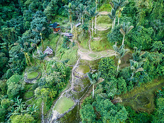 Image showing Ciudad Perdida, ancient ruins in Sierra Nevada mountains. Santa Marta, Colombia wilderness