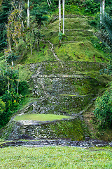 Image showing Ciudad Perdida, ancient ruins in Sierra Nevada mountains. Santa Marta, Colombia wilderness