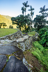 Image showing Ciudad Perdida, ancient ruins in Sierra Nevada mountains. Santa Marta, Colombia wilderness