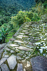 Image showing Ciudad Perdida, ancient ruins in Sierra Nevada mountains. Santa Marta, Colombia wilderness