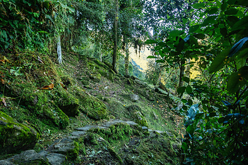 Image showing Ciudad Perdida, ancient ruins in Sierra Nevada mountains. Santa Marta, Colombia wilderness