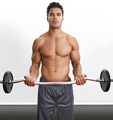 Image showing Man, portrait and curl barbell for workout fitness or arm training for muscle strength, performance or exercise. Bodybuilder, equipment and white background in studio for health, biceps or mockup