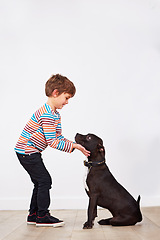Image showing Happy child, dog and kid playing with pet, having fun and bonding together for connection at home by a wall on mockup space. Young boy, canine and touch animal with care, love and friendship of owner