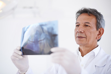 Image showing Senior dentist, man and x ray of teeth for dental surgery, healthcare and oral health with treatment at clinic. Medical professional with analysis of scan, radiology and orthodontics with mouth care