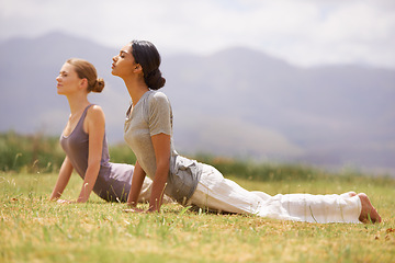 Image showing Woman, friends or yoga on field in nature for spiritual wellness, health or outdoor exercise. Female person or yogi in relax, pilates or cobra pose for zen, balance or training workout on green grass