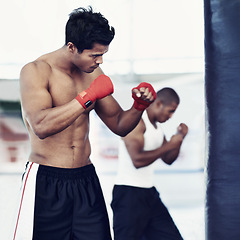Image showing Man, training and gloves in gym for boxing match, practice and determined for competition to win. Light weight champion, workout and focus for tough sport, fitness and exercise with endurance for mma