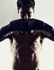 Image showing Portrait, man and boxer in stance for sports, training and workout for body health isolated on white studio background. Fighter, serious face and athlete in gloves for fitness or exercise in Brazil