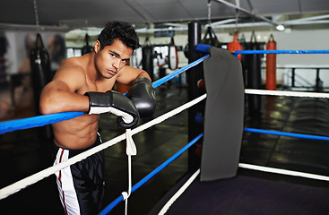 Image showing Fitness, portrait and man boxer in gym for exercise, workout and combat training for competition. Cardio, health and shirtless male athlete fighter in boxing ring with gloves in sports center.