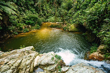 Image showing Small natural pond in jungle. Sierra Nevada mountains, Colombia wilderness landscape.