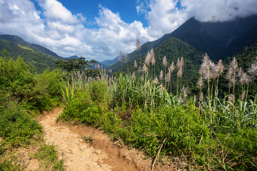 Image showing Landscape of Sierra Nevada mountains, Colombia wilderness landscape.