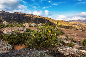 Image showing Andringitra national park,mountain landscape, Madagascar wilderness landscape