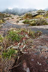 Image showing Andringitra national park,mountain landscape, Madagascar wilderness landscape