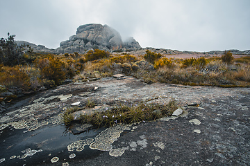 Image showing Andringitra national park,mountain landscape, Madagascar wilderness landscape