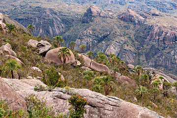 Image showing Andringitra national park,mountain landscape, Madagascar wilderness landscape