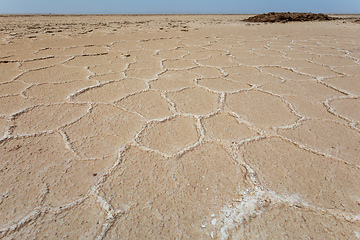 Image showing Salt desert in Danakil depression, geological landscape Ethiopia, Horn of Africa