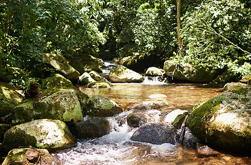 Image showing River, rainforest and trees on landscape with sunshine, growth and sustainability in summer with rocks. Water, leaves and earth in tropical jungle with environment, ecology and nature in Colombia