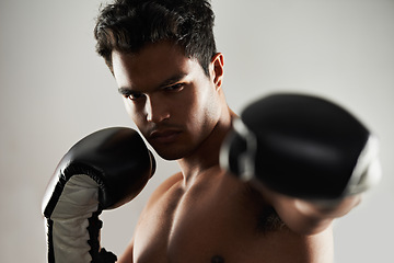 Image showing Man, serious and portrait with boxing gloves in studio for self defense, mma and combat. Male person, fighter and personal trainer for physical sport with commitment, focus and strong for activity