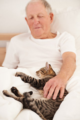 Image showing Senior man, cat and relaxing in bed, smile and resting in retirement at home. Elderly male person, bedroom and morning routine in apartment, animal and bonding with pet for fun or playful on weekend