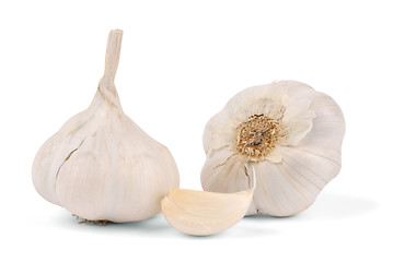 Image showing Garlic