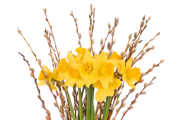 Image showing Daffodils on White