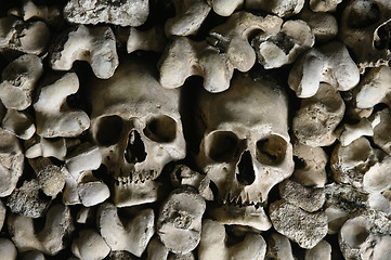 Image showing Human skulls