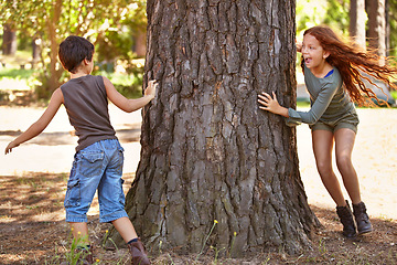 Image showing Children, forest or playing tag for fun with brother and sister sibling outdoor in nature together. Kids, girl and boy running around tree in woods to catch for summer game of leisure or recreation